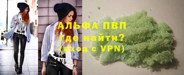 индика Аркадак