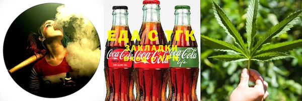 индика Аркадак