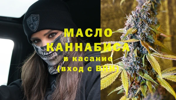 индика Аркадак