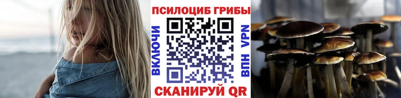 Галлюциногенные грибы мухоморы Сусуман